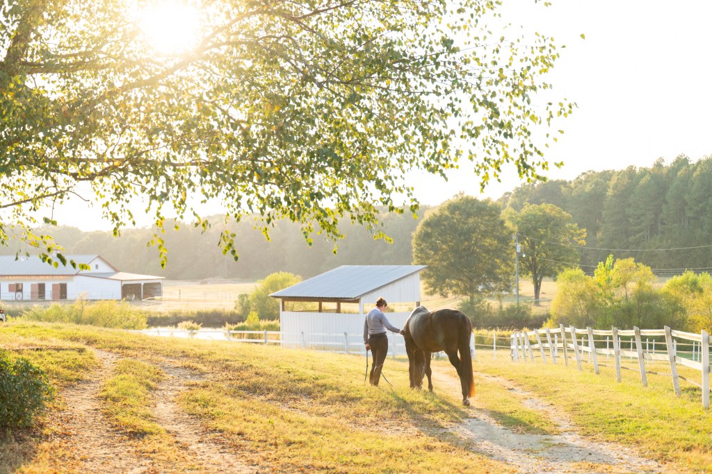 A person walking a horse along a dirt path in a sunlit farm area with a barn in the background and trees lining the horizon.